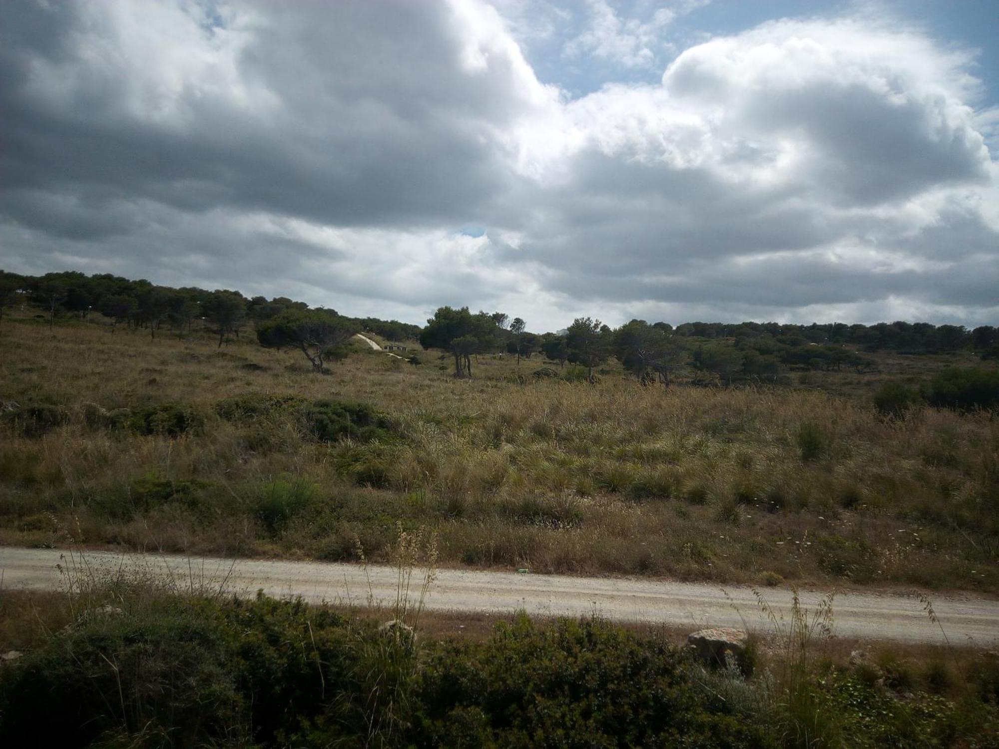 Castellsol Arenal Home Beach 蓬塔格罗萨 客房 照片